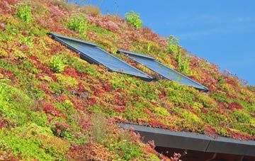 Upper Helmsley living roof systems